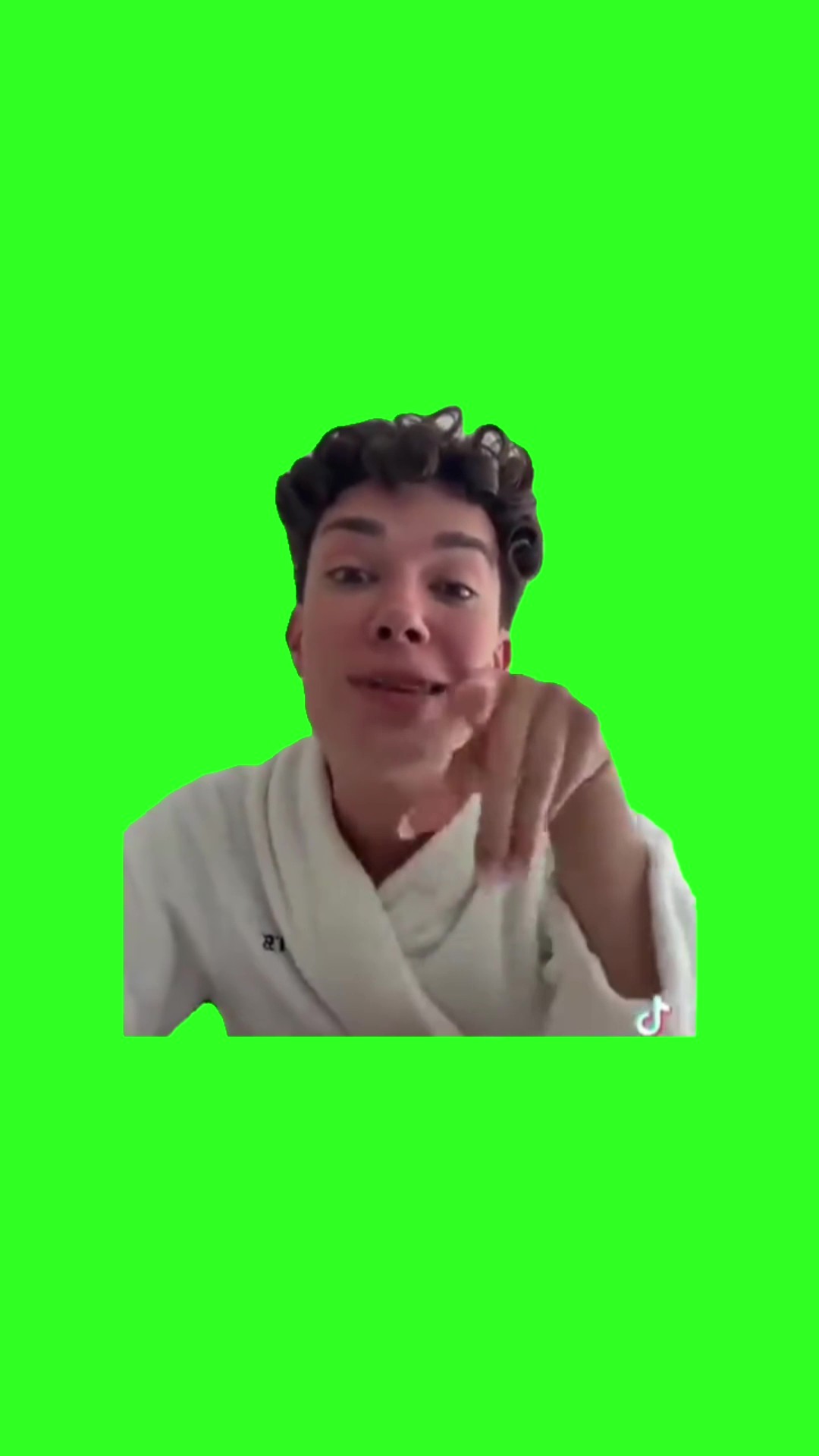 James Charles to Spirit airline worker “ you’re entitled piece of s”