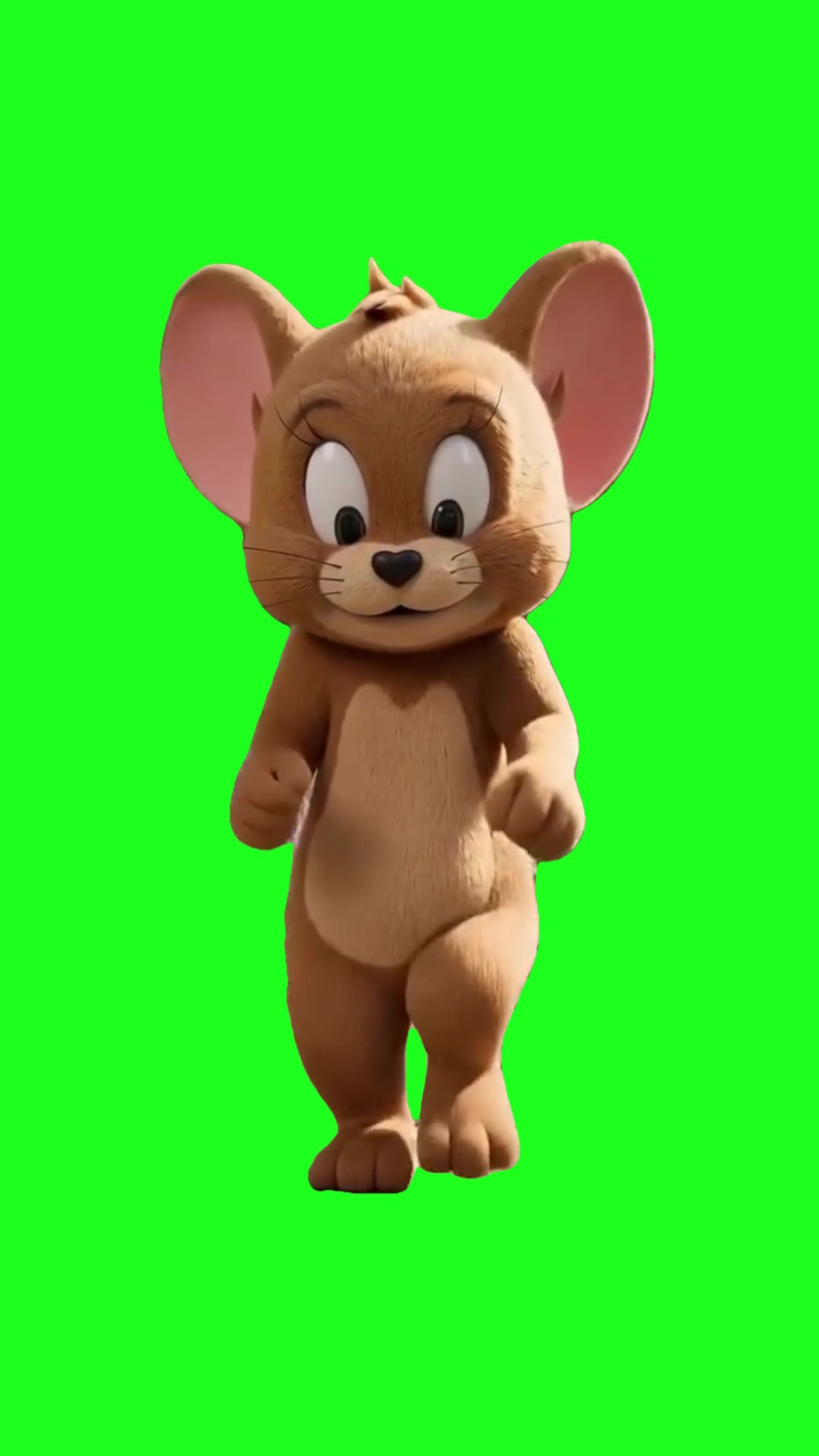 Jerry dancing green screen