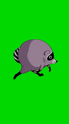 Jimothy Raccoon Haaland Walk green screen