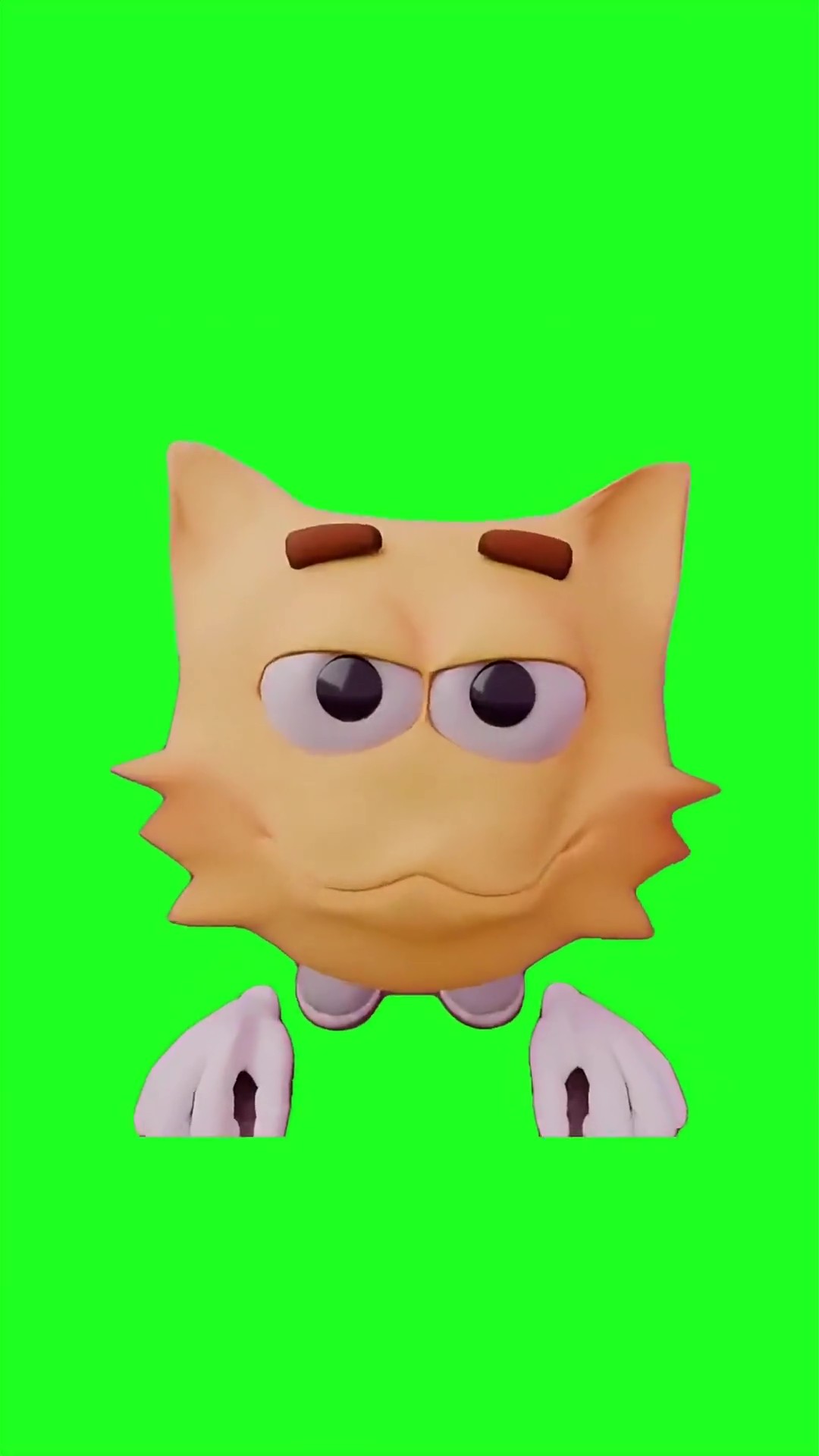 Joe meow green screen