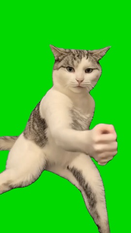 Karate Cat green screen
