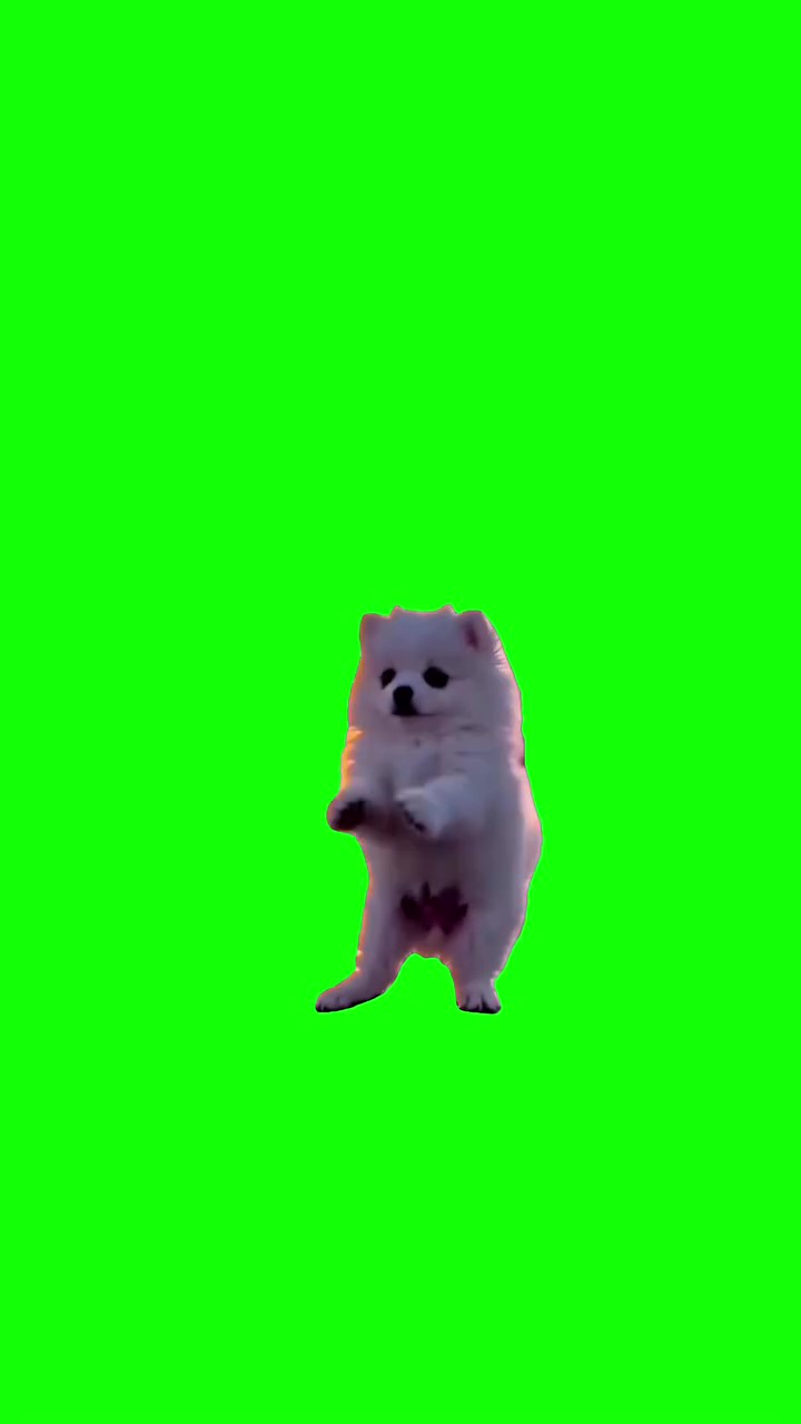 King Puppy Nasir Dance green screen