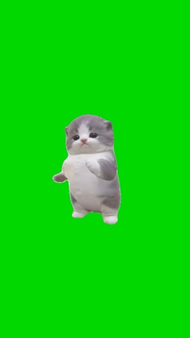 Kitten Laitada Dance green screen