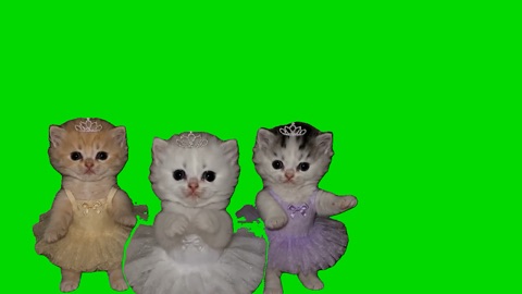 Kitten Princess Dancing green screen
