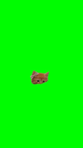 Kitten Shoots A Rifle And Throws A Grenade green screen