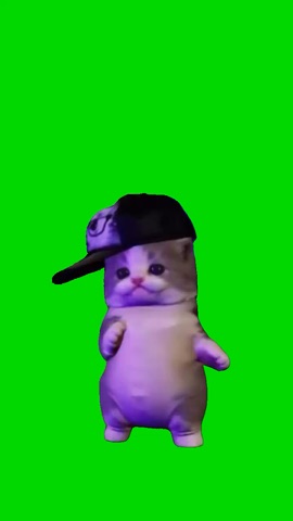 Kitten With A Hat Dancing green screen