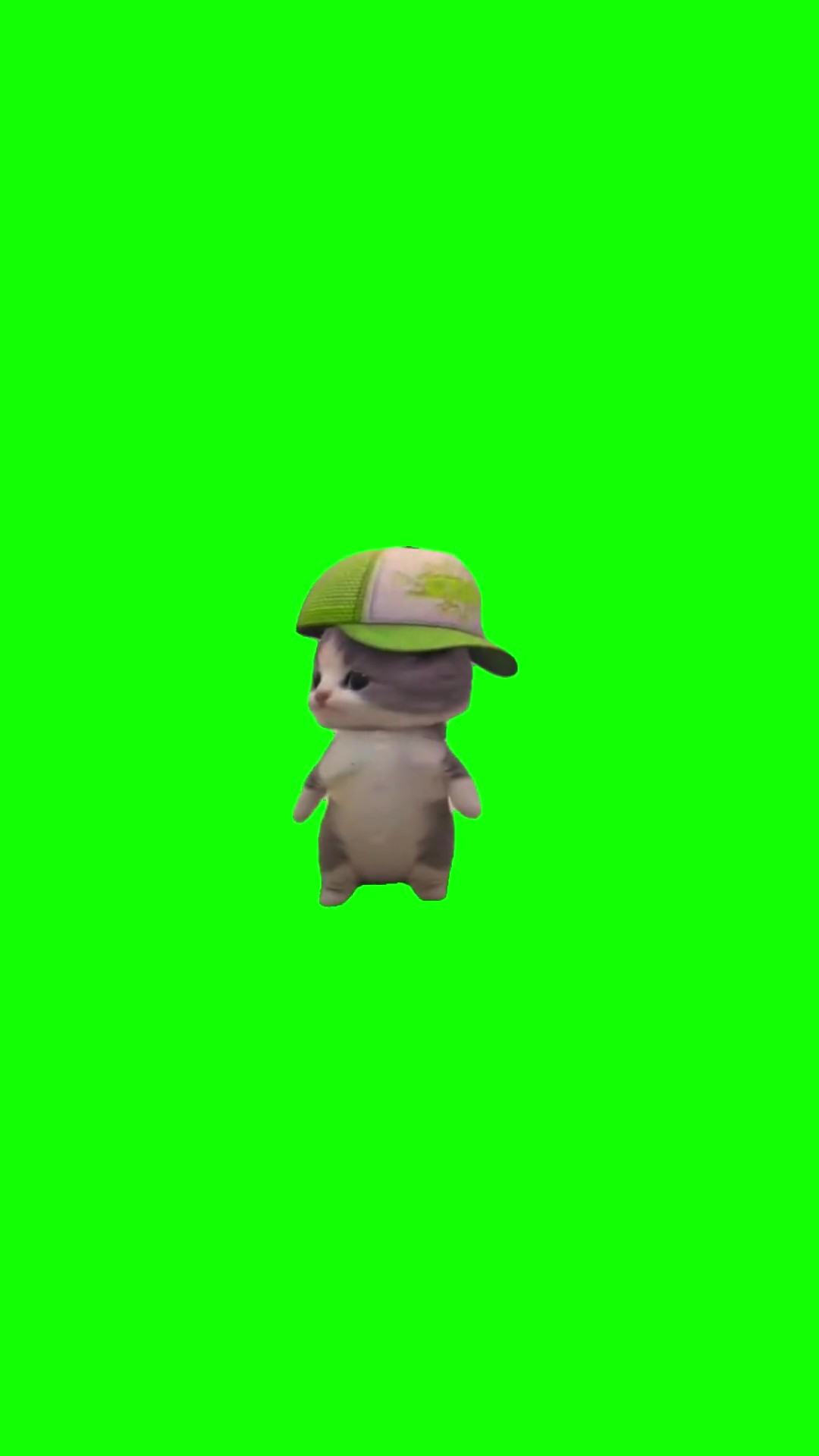 Kitten laitada dance green screen