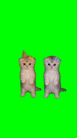 Kittens Dance To Work Work Work green screen