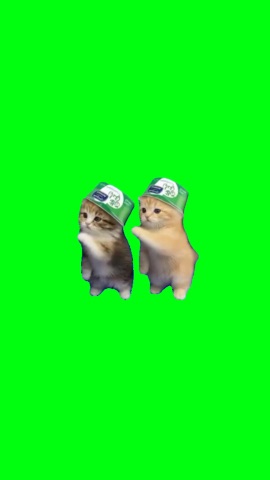Kittens Dancing To Laitada green screen