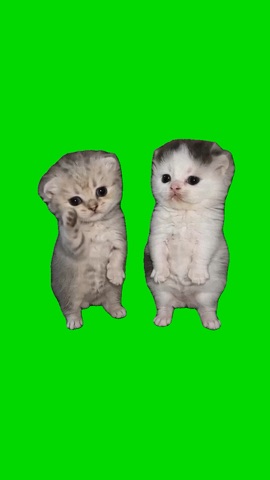 Kittens Dancing To Work Work Work green screen