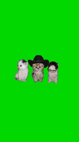 Kittens Dancing To XOXO green screen