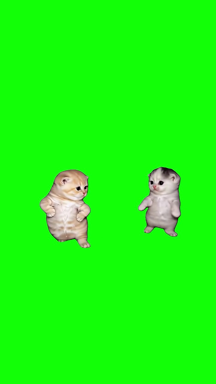 Kittens Vibing green screen