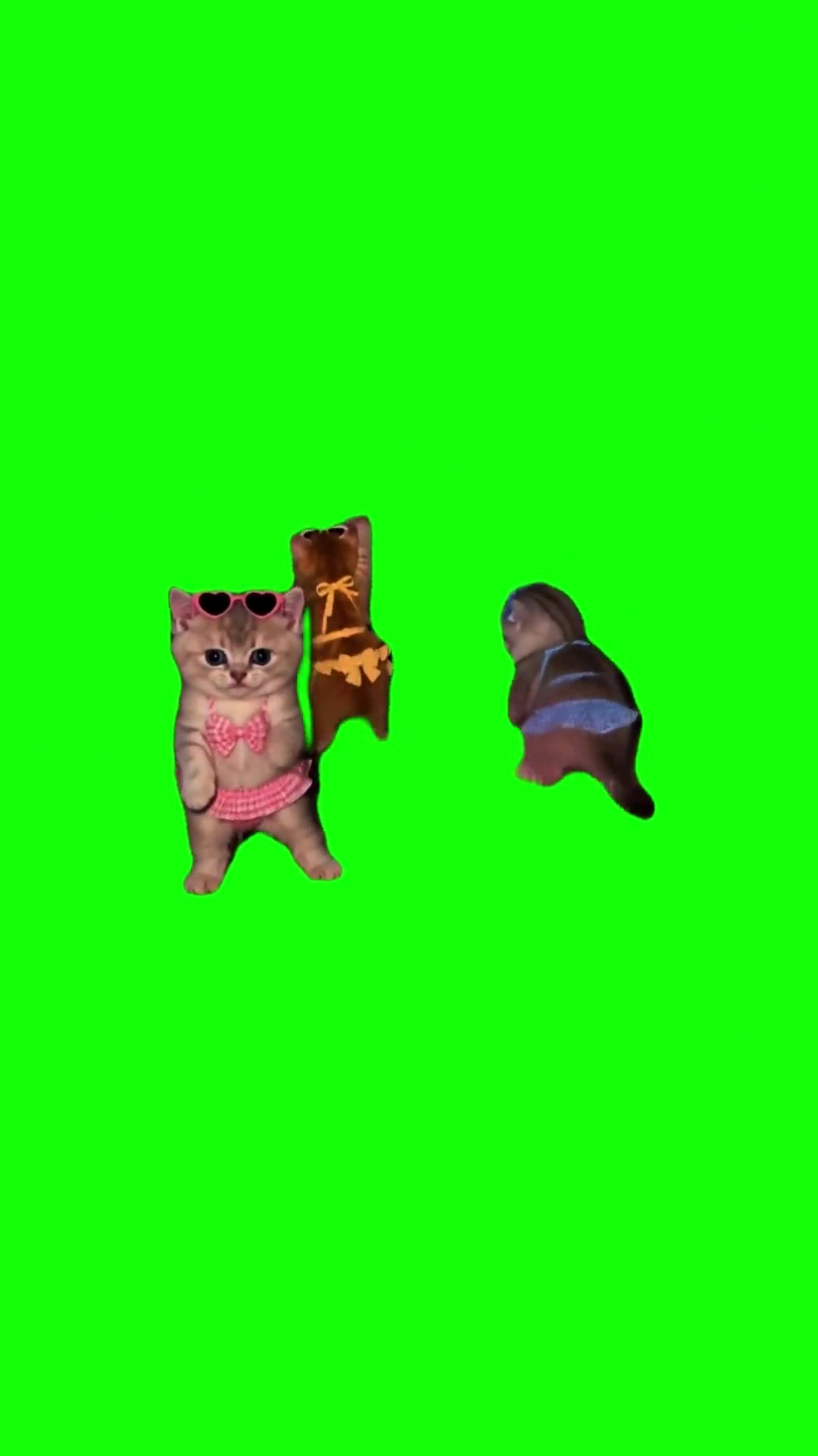 Kittens come an ride green screen