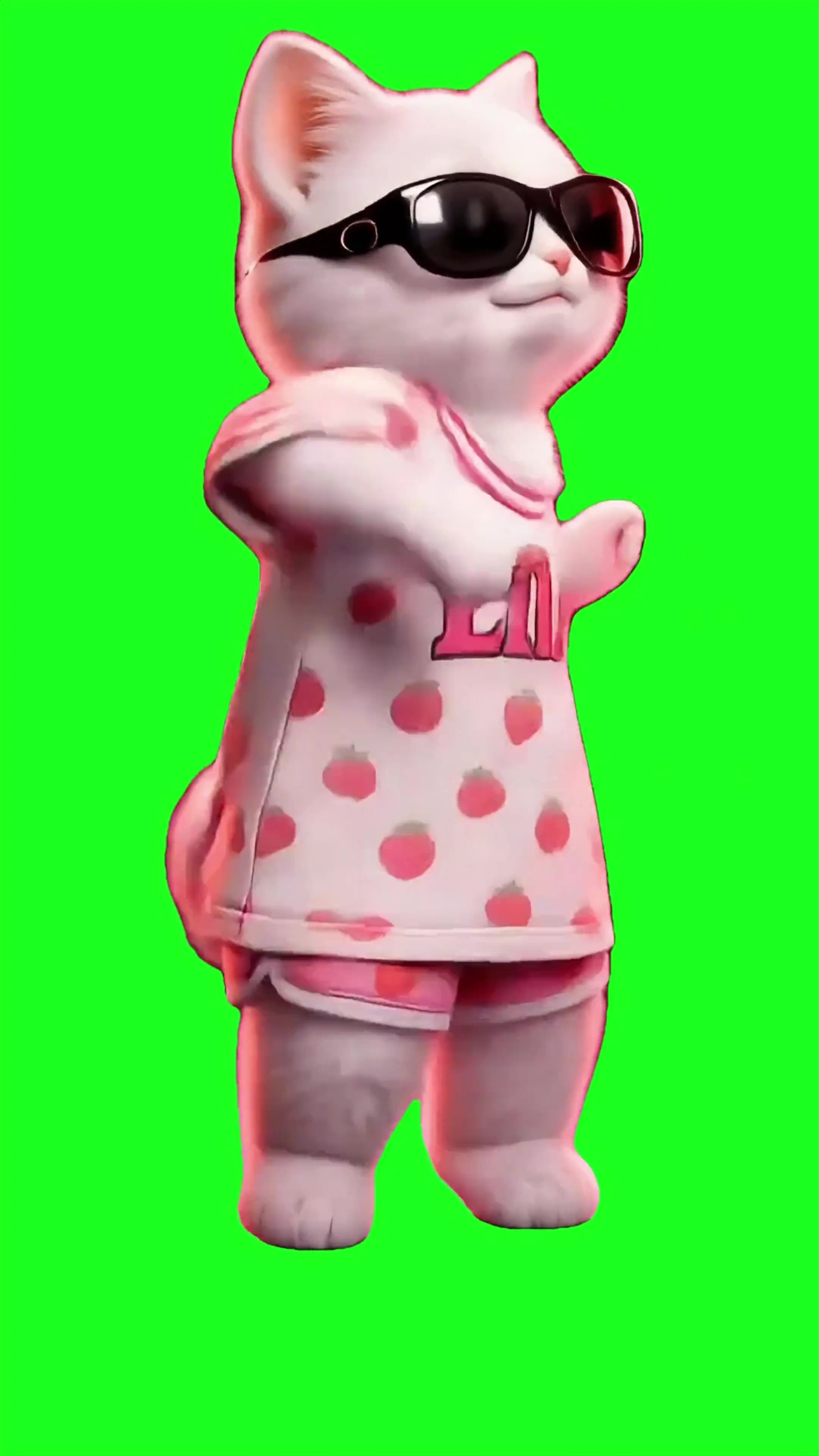 Kitty cat snap it green screen
