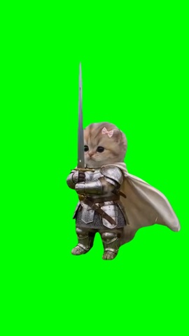 Knight Kitten green screen
