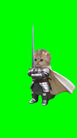 Knight Kitten Armor green screen