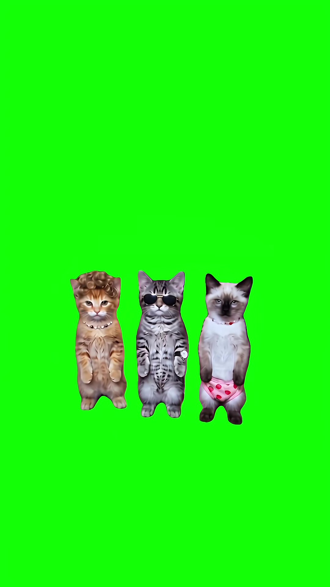 La Calabaza Trio Dance green screen