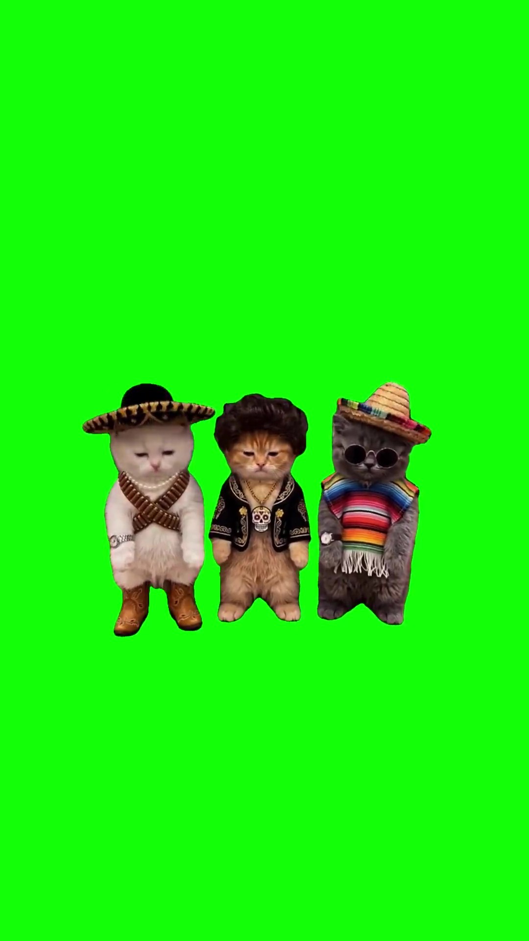 La calabasa  green screen