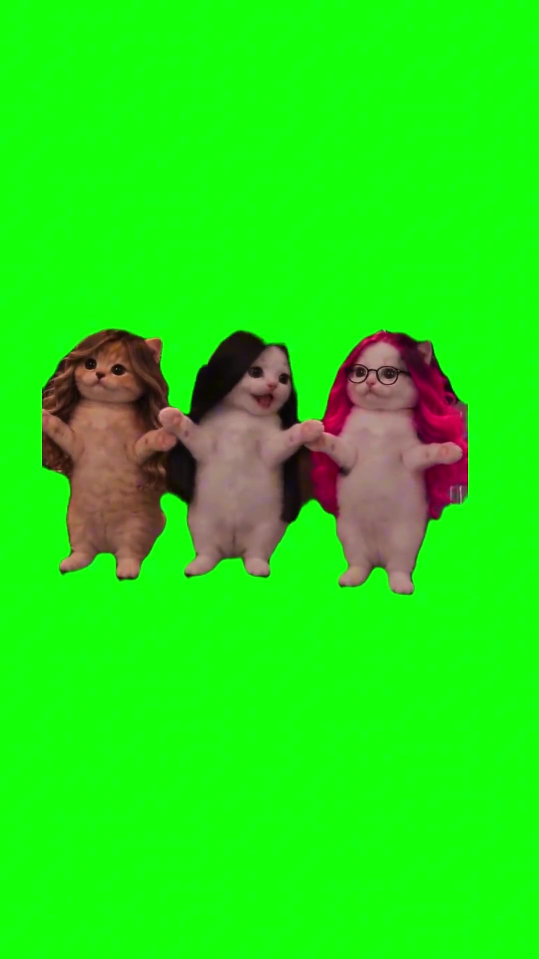La calabaza kittens dance green screen