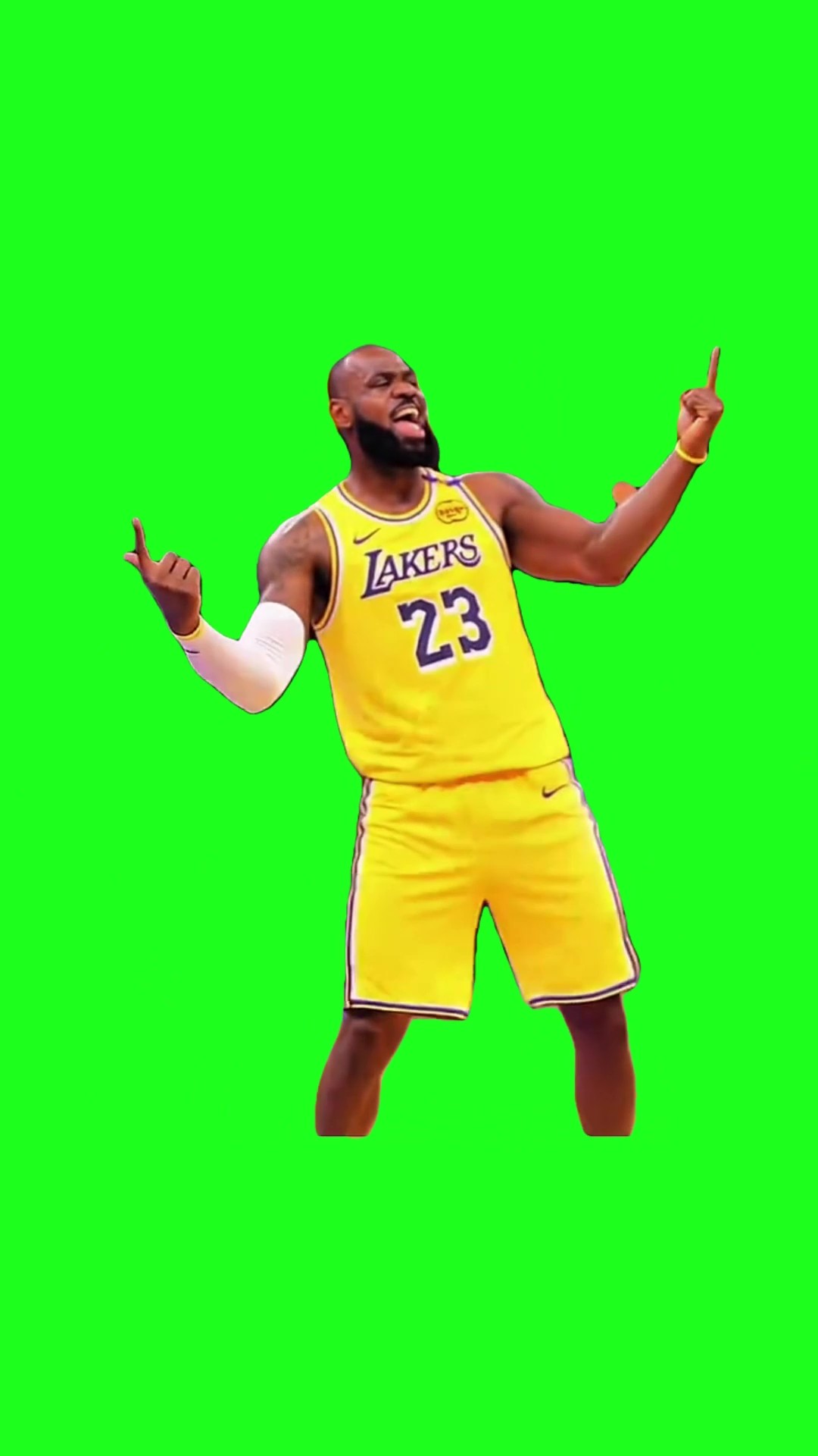 LeBron I Just Hit the Jackpot green screen