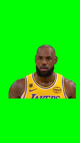 Lebron Head Nod green screen