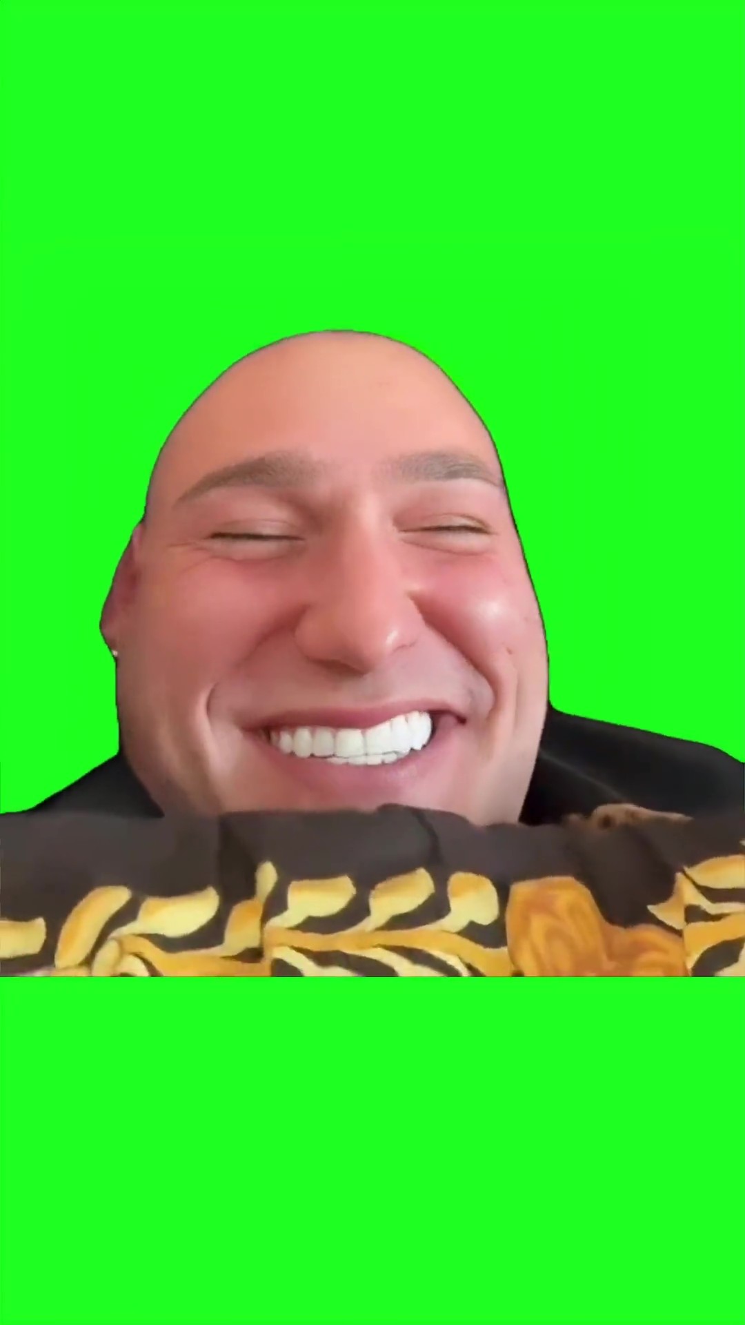 Leo Skeppy Lazy green screen
