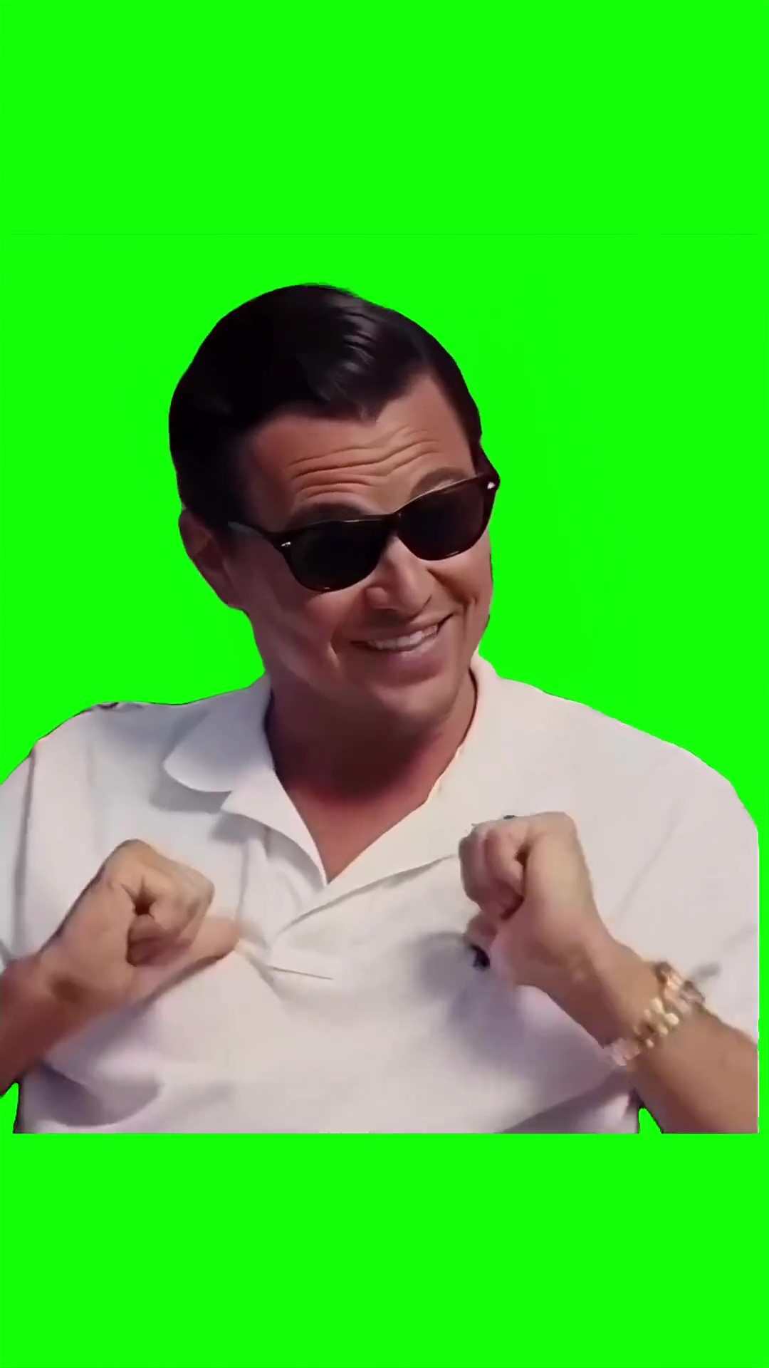 Leonardo Laughing green screen