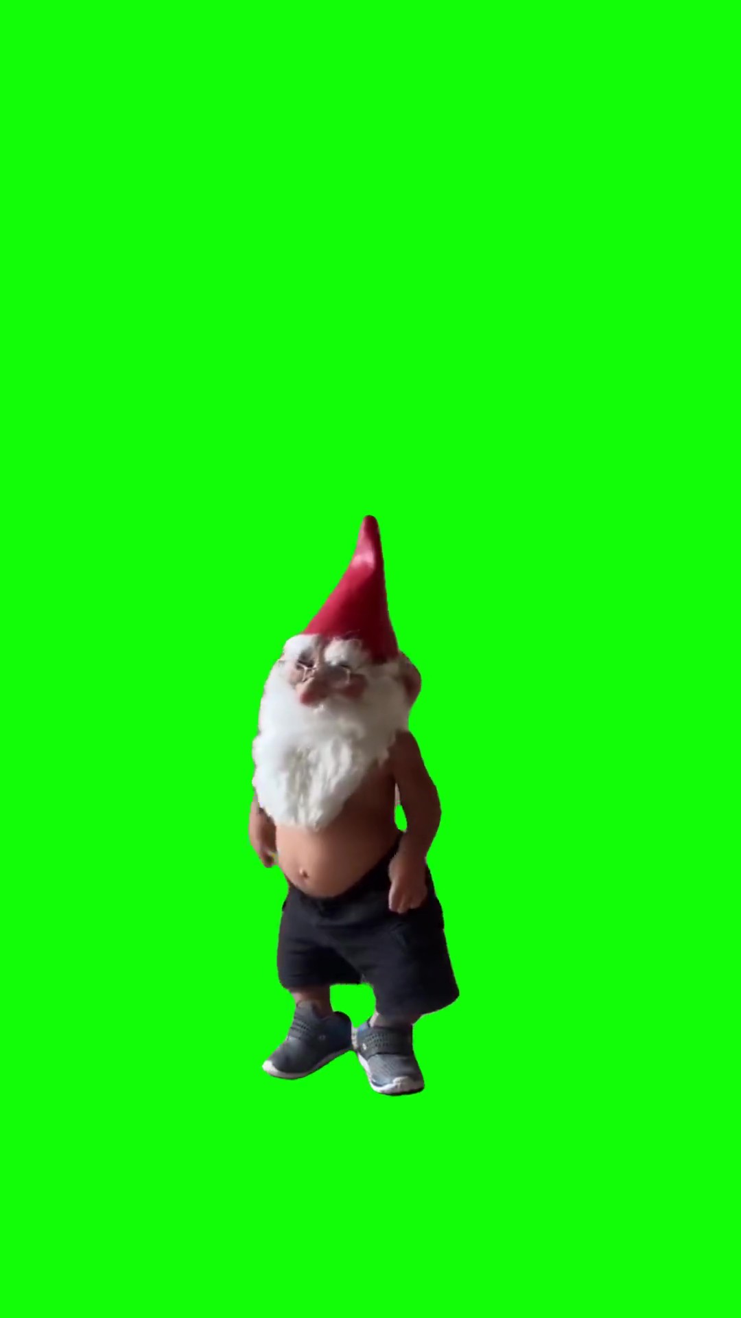Little gnomeo dancing green screen