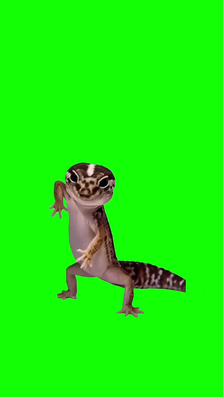 Lizard Dancing green screen