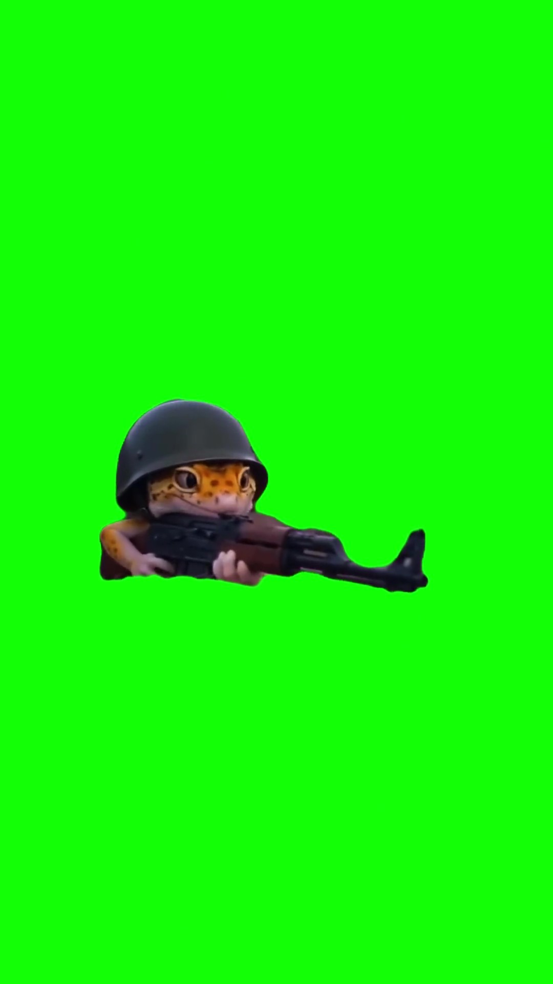 Lizard shooting ak  green screen