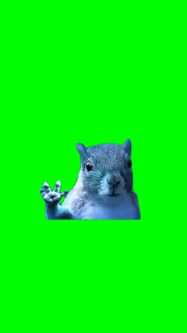 Man Of Steel Squirrel Waves green screen