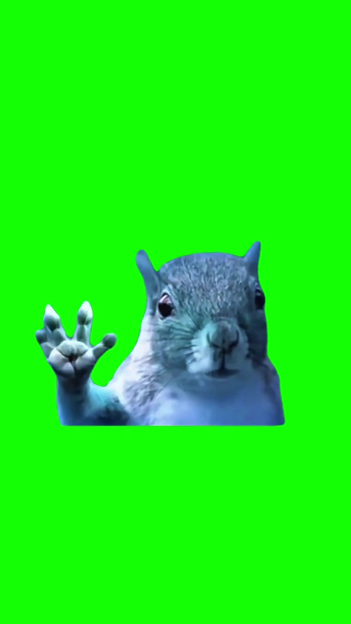 Man of steel squirrel waving green screen