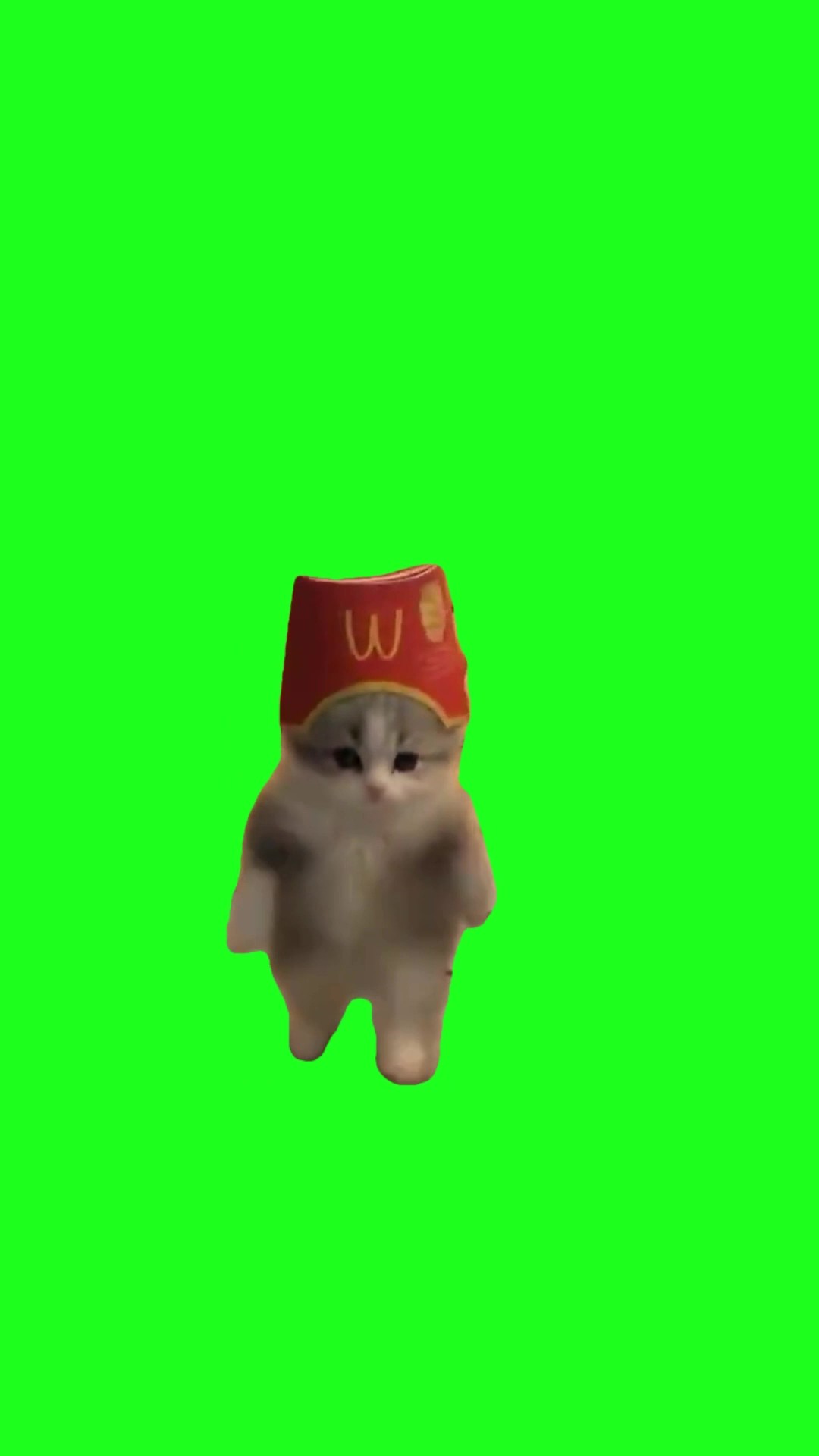 McDonald’s Dancing Kitten green screen