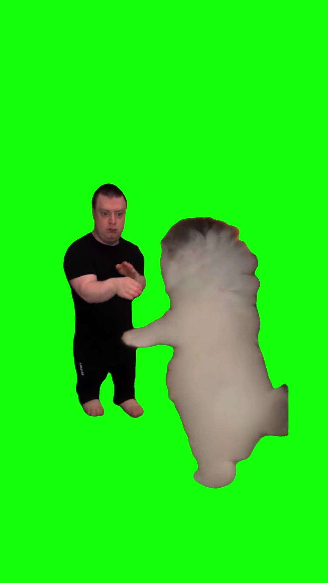 Mellstroy  Burmaldance green screen