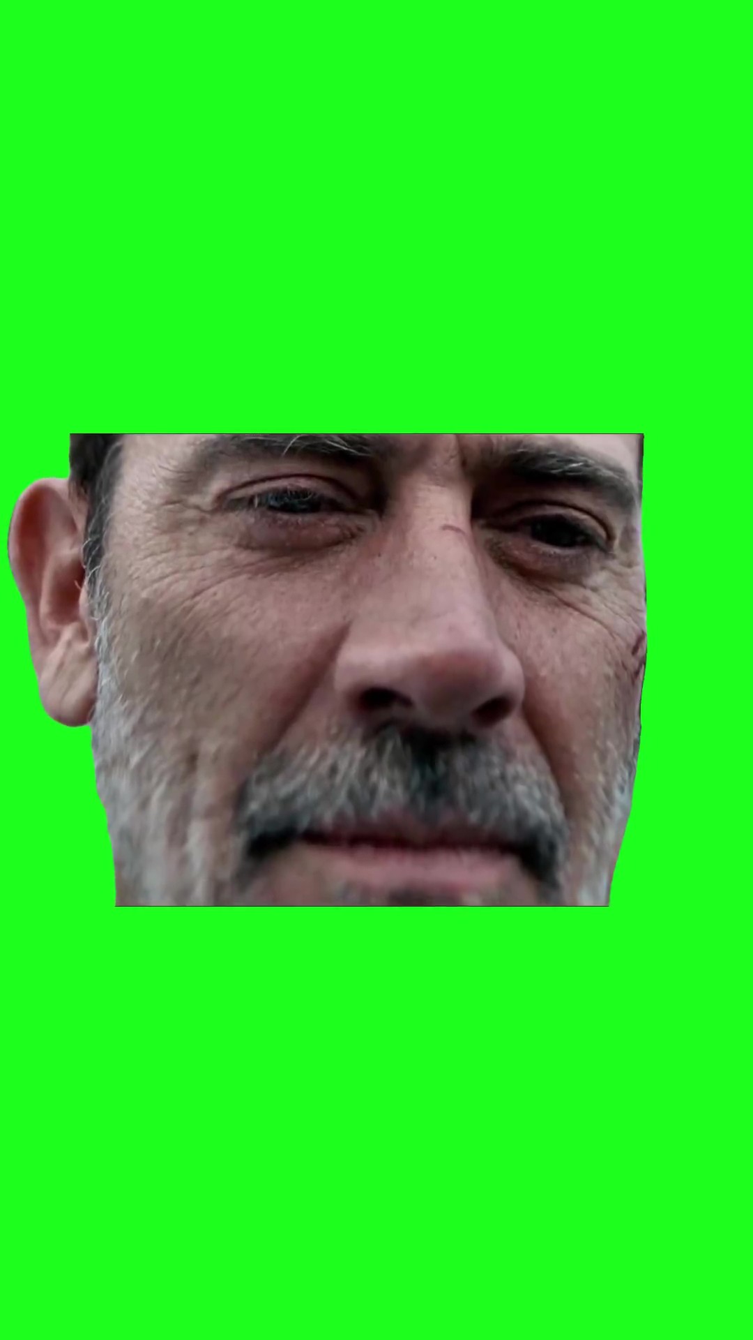 Mischievous look green screen