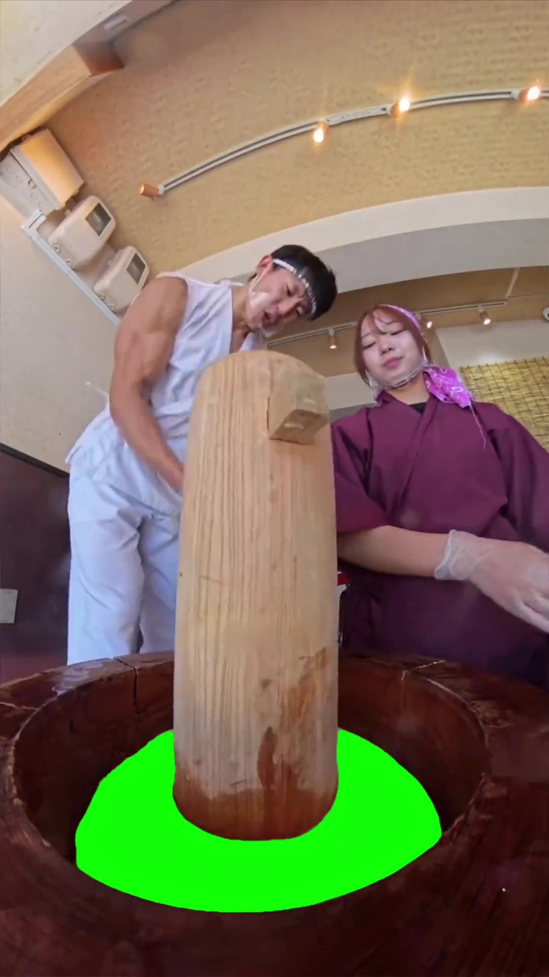 Mochi Pound V2 green screen
