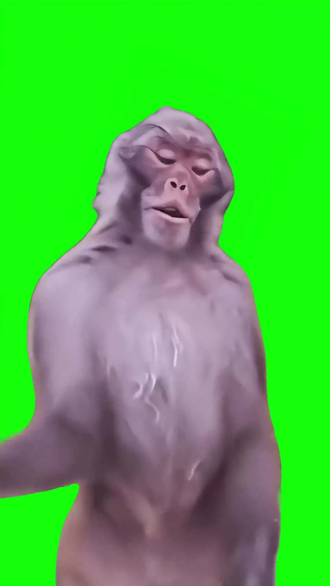 Monkey Bare Minimum green screen