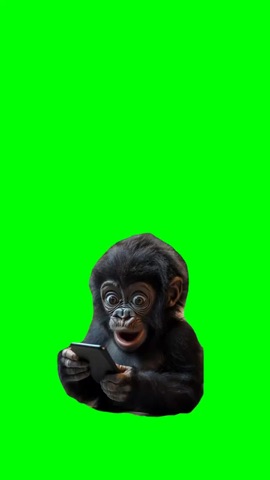 Monkey On The Phone green screen