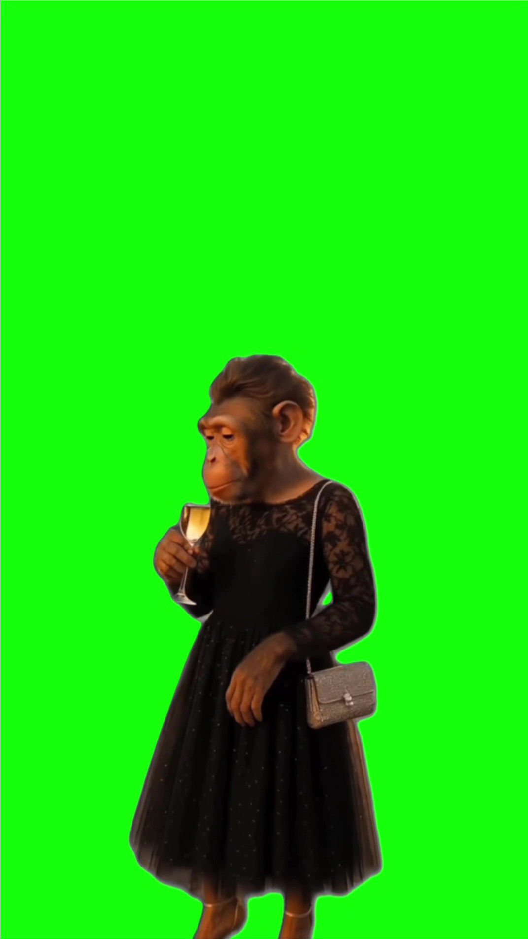 Monkey in a dress sipping green screen