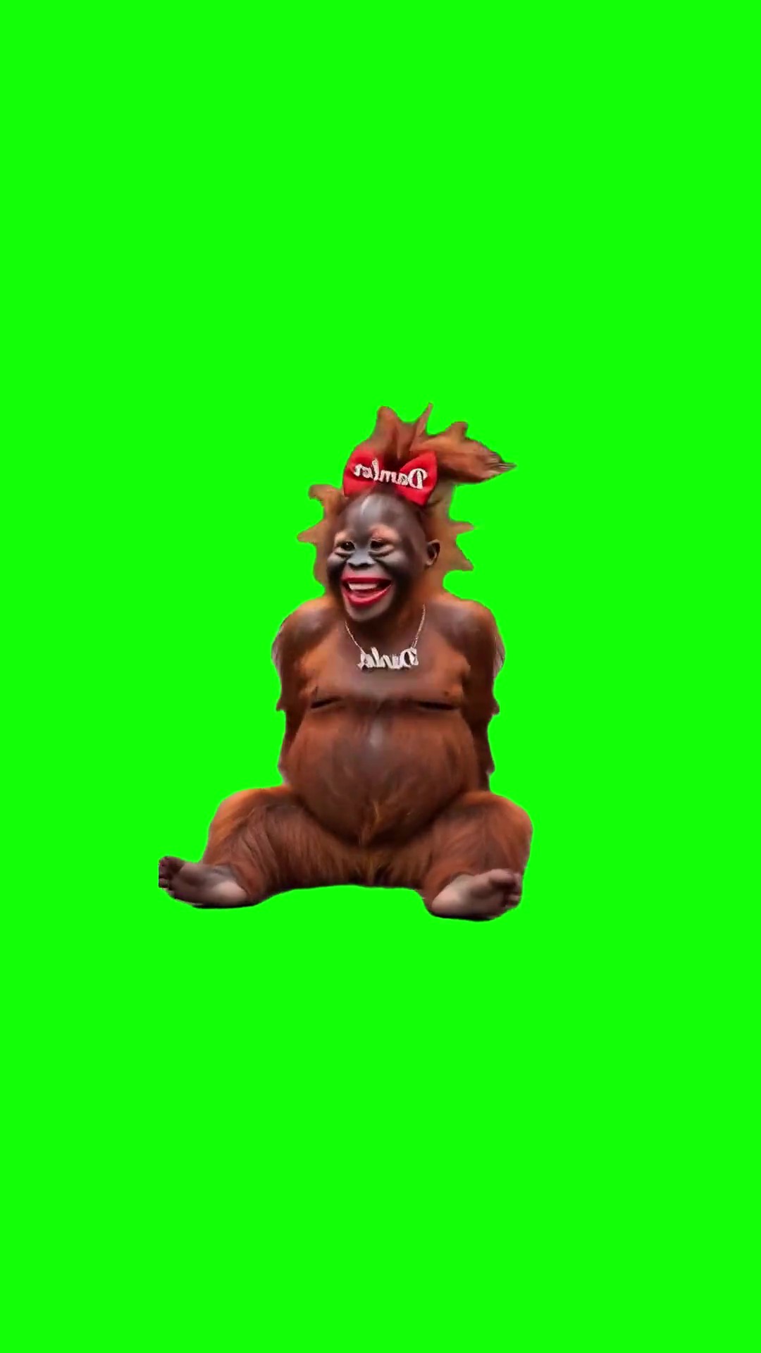 Monkey laughing green screen