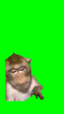 Monkey with glasses green screen