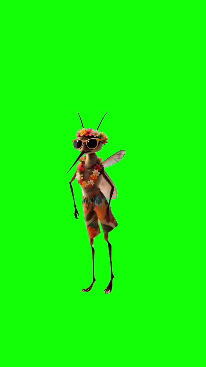 Mosquito At 3AM green screen