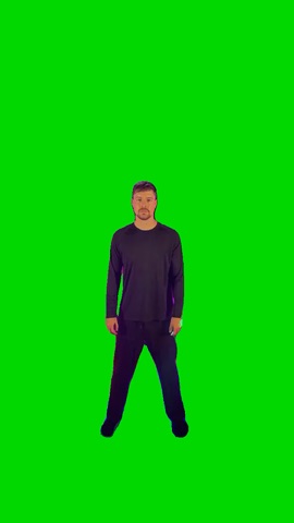 Mr Beast Dancing green screen