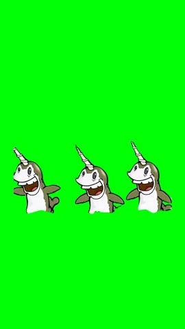Narwhals Swimming In The Ocean green screen