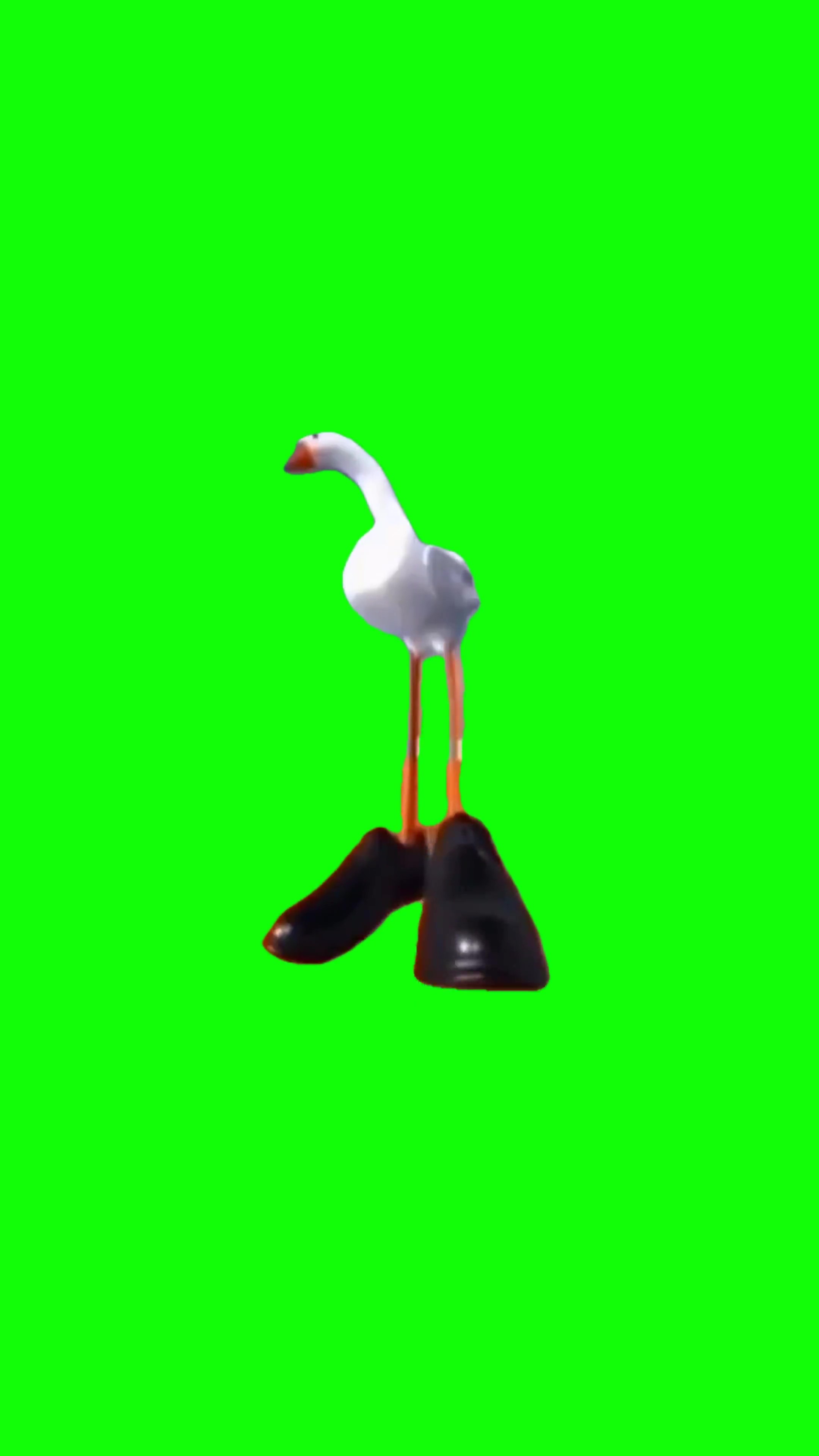 Nervous business goose green screen