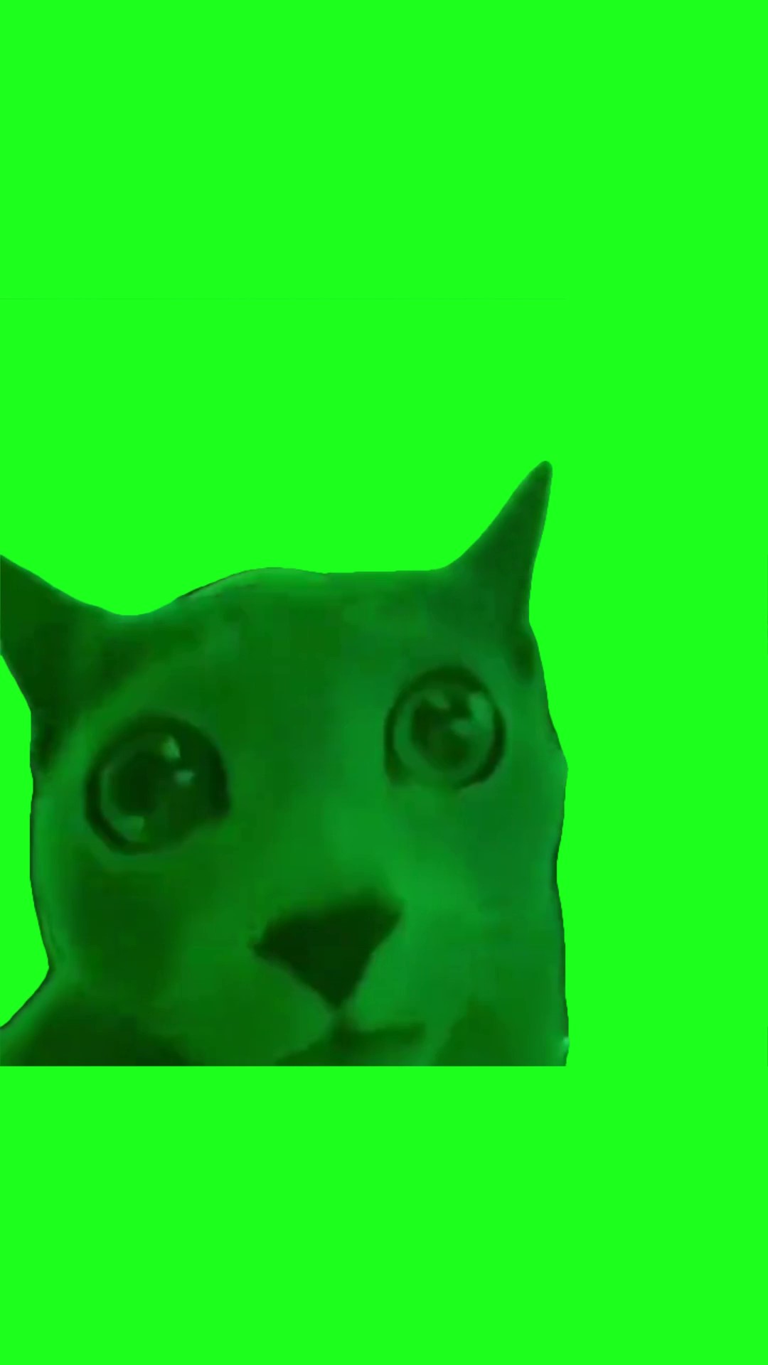 New Alien Cat green screen