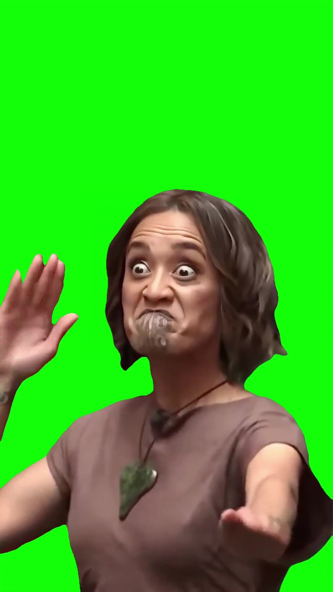 New Zealand parliament Haka green screen