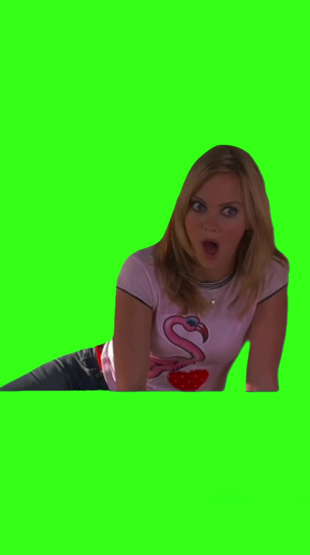 Niceeee The Hot Chick green screen