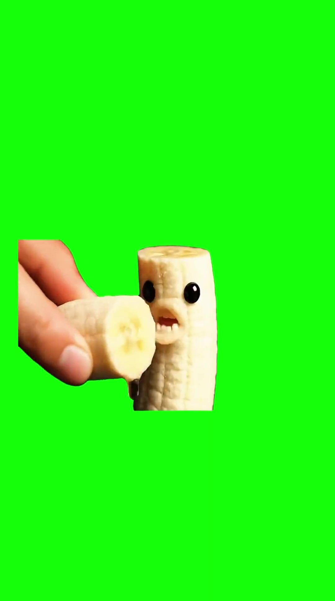 Niche fruit eating green screen