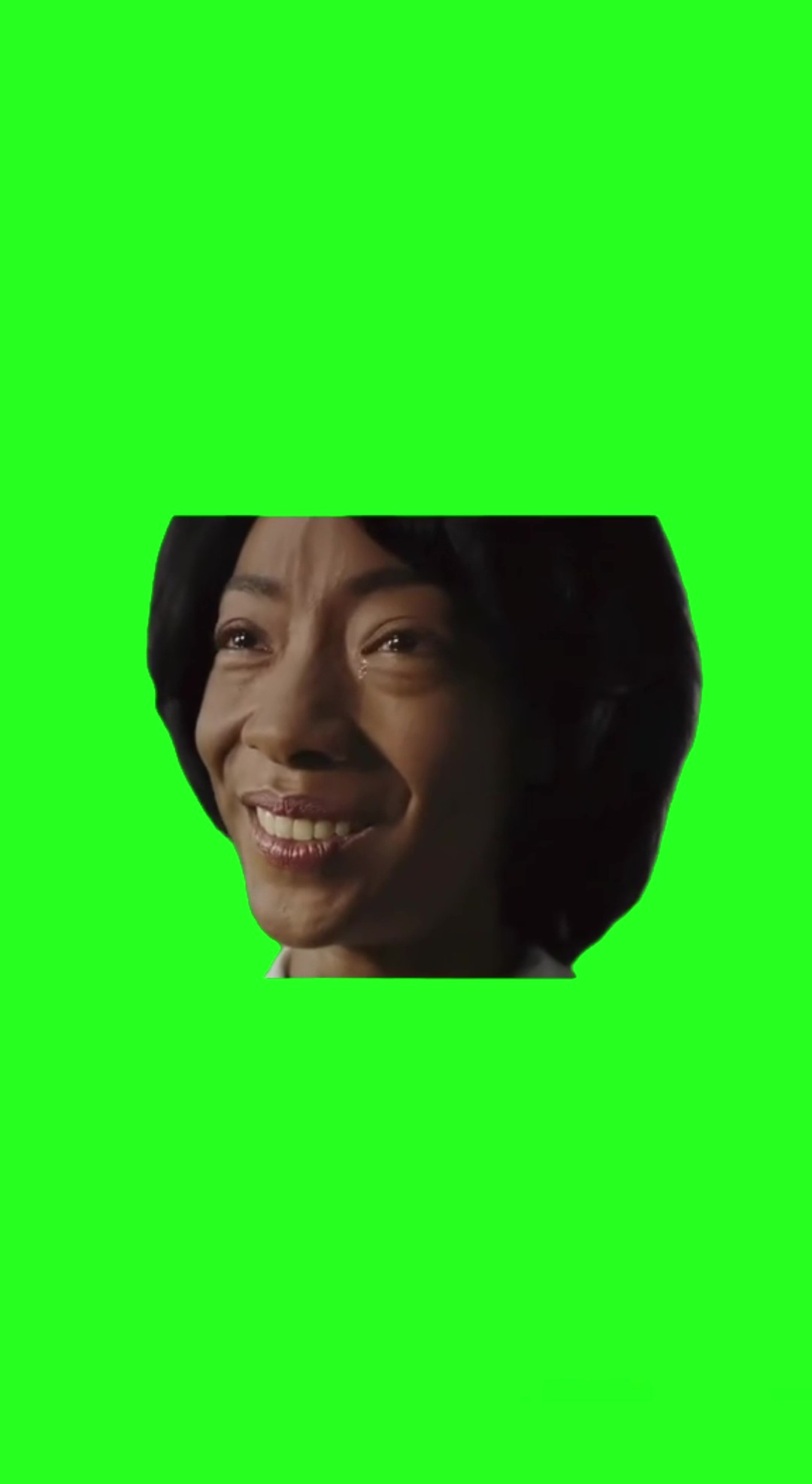 No No No green screen